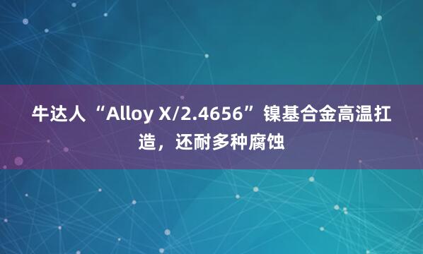 牛达人 “Alloy X/2.4656” 镍基合金高温扛造，还耐多种腐蚀