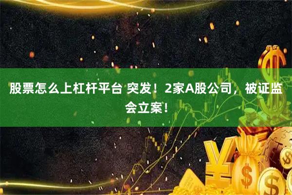 股票怎么上杠杆平台 突发！2家A股公司，被证监会立案！