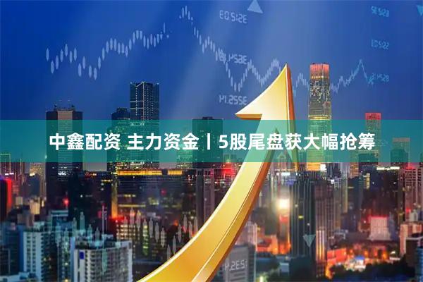 中鑫配资 主力资金丨5股尾盘获大幅抢筹